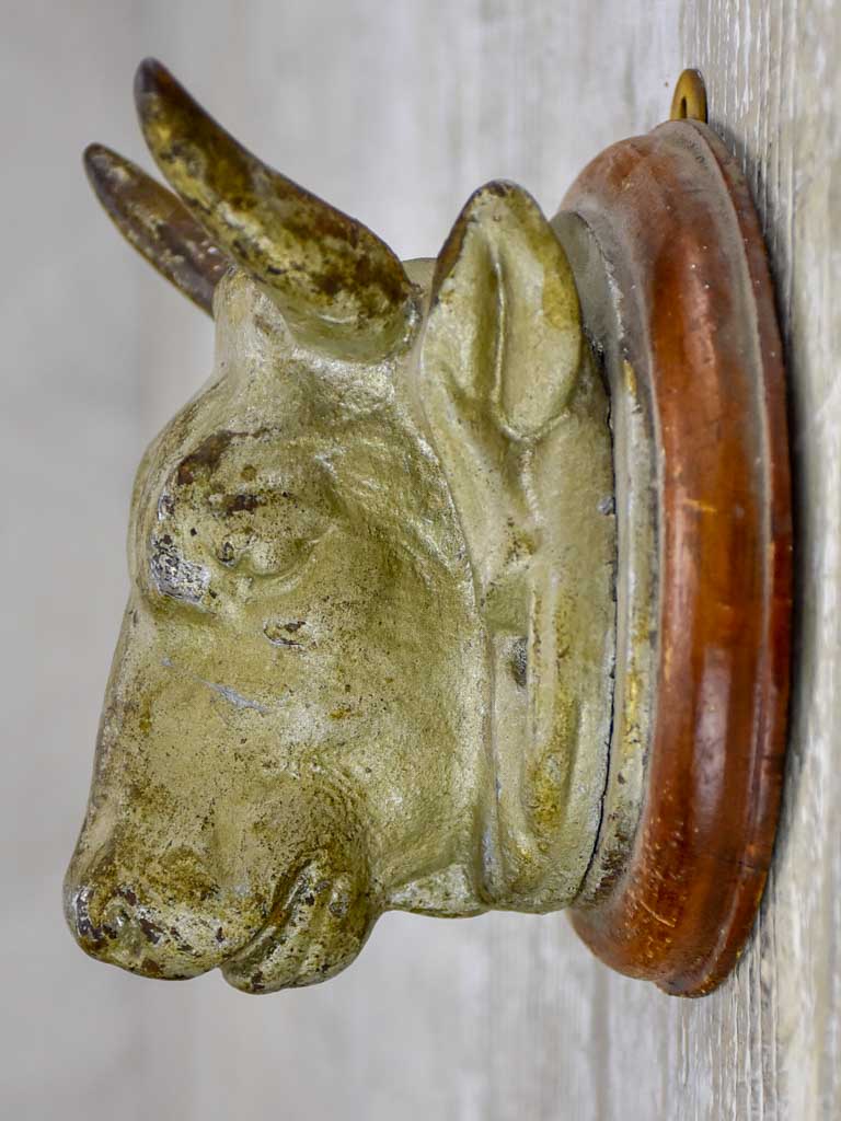 Antique French cow's head from a butcher's block