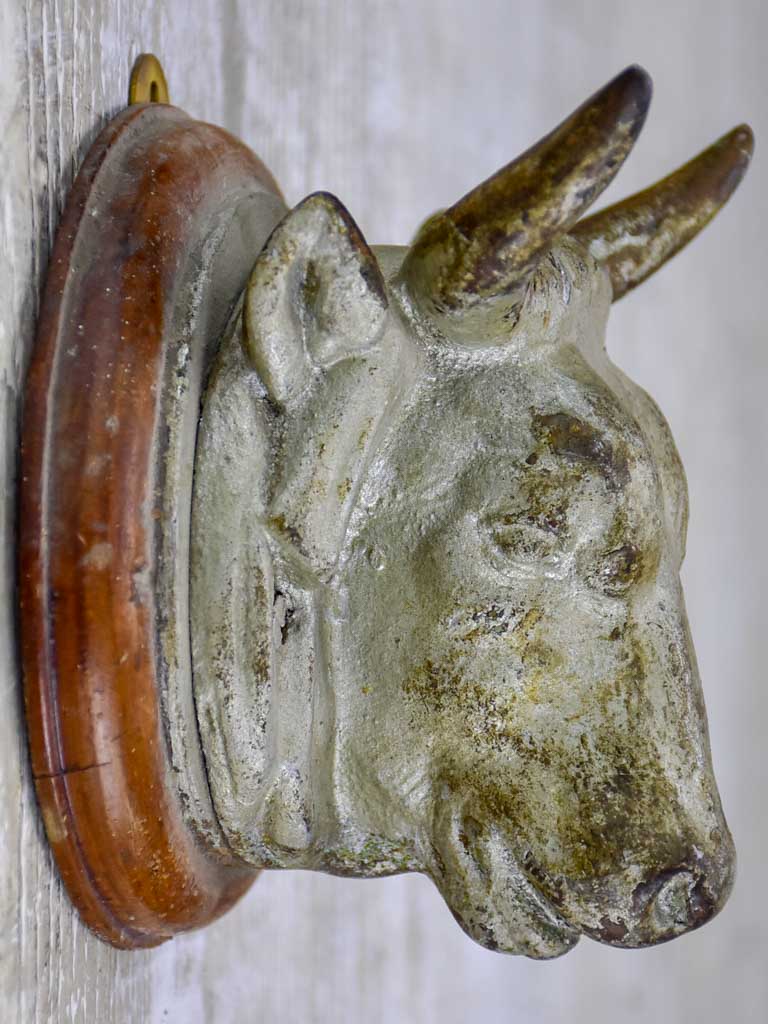 Antique French cow's head from a butcher's block