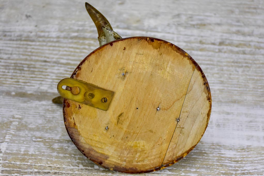 Antique French cow's head from a butcher's block