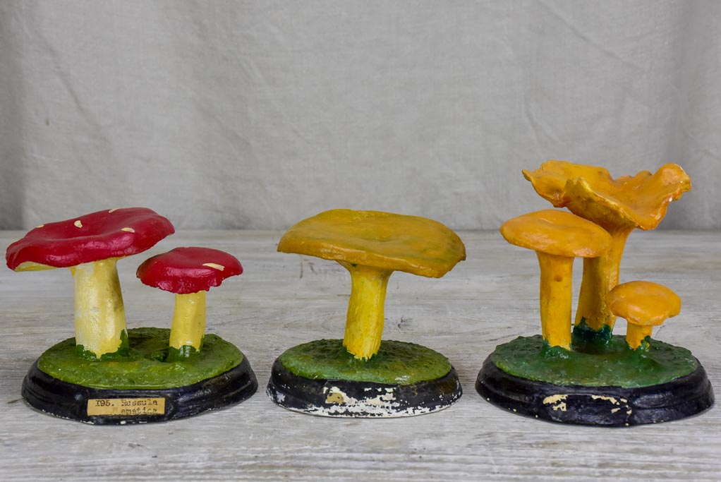 Collection of three antique French pharmacy mushrooms