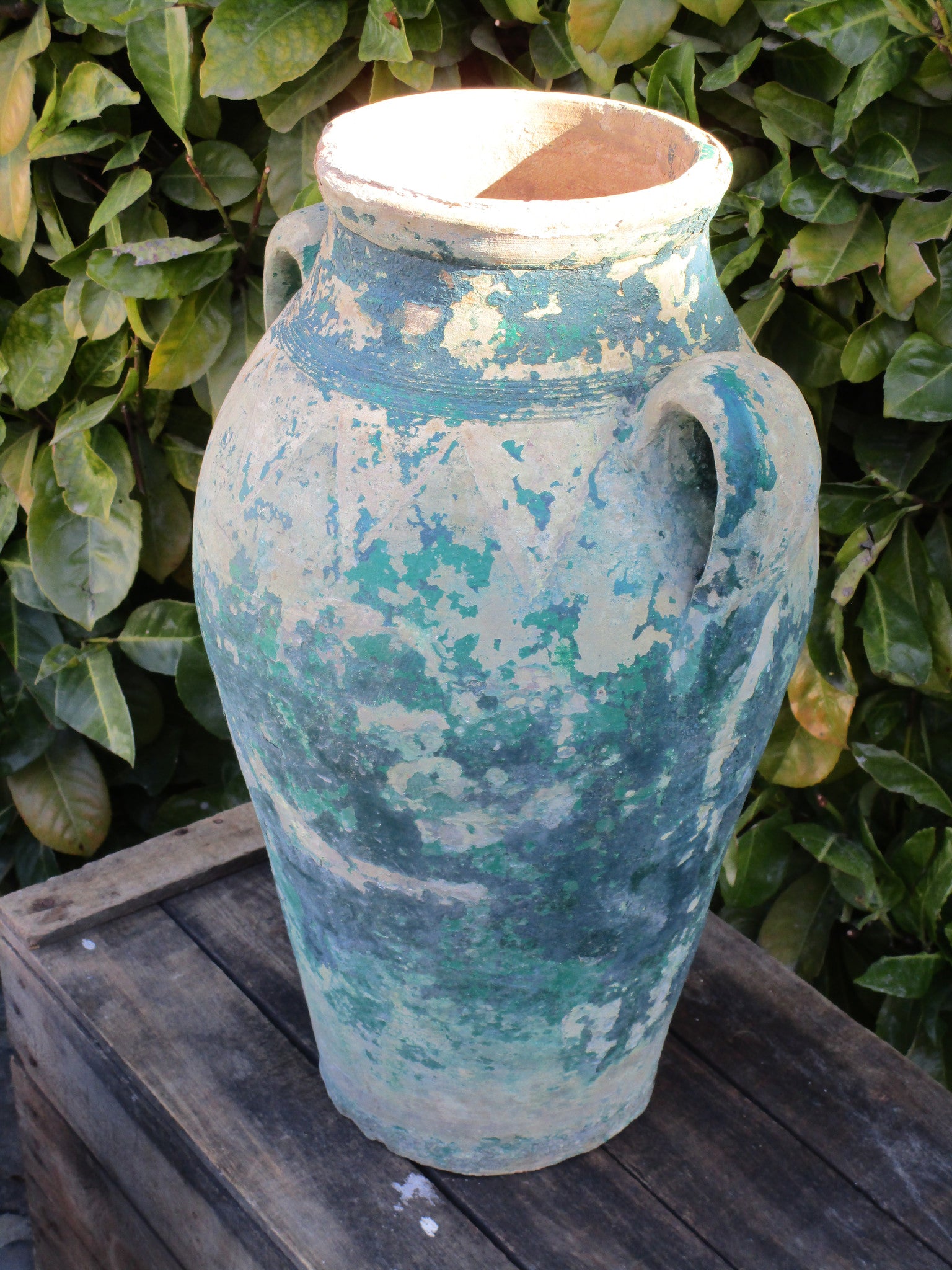 Pair of French amphora garden pots