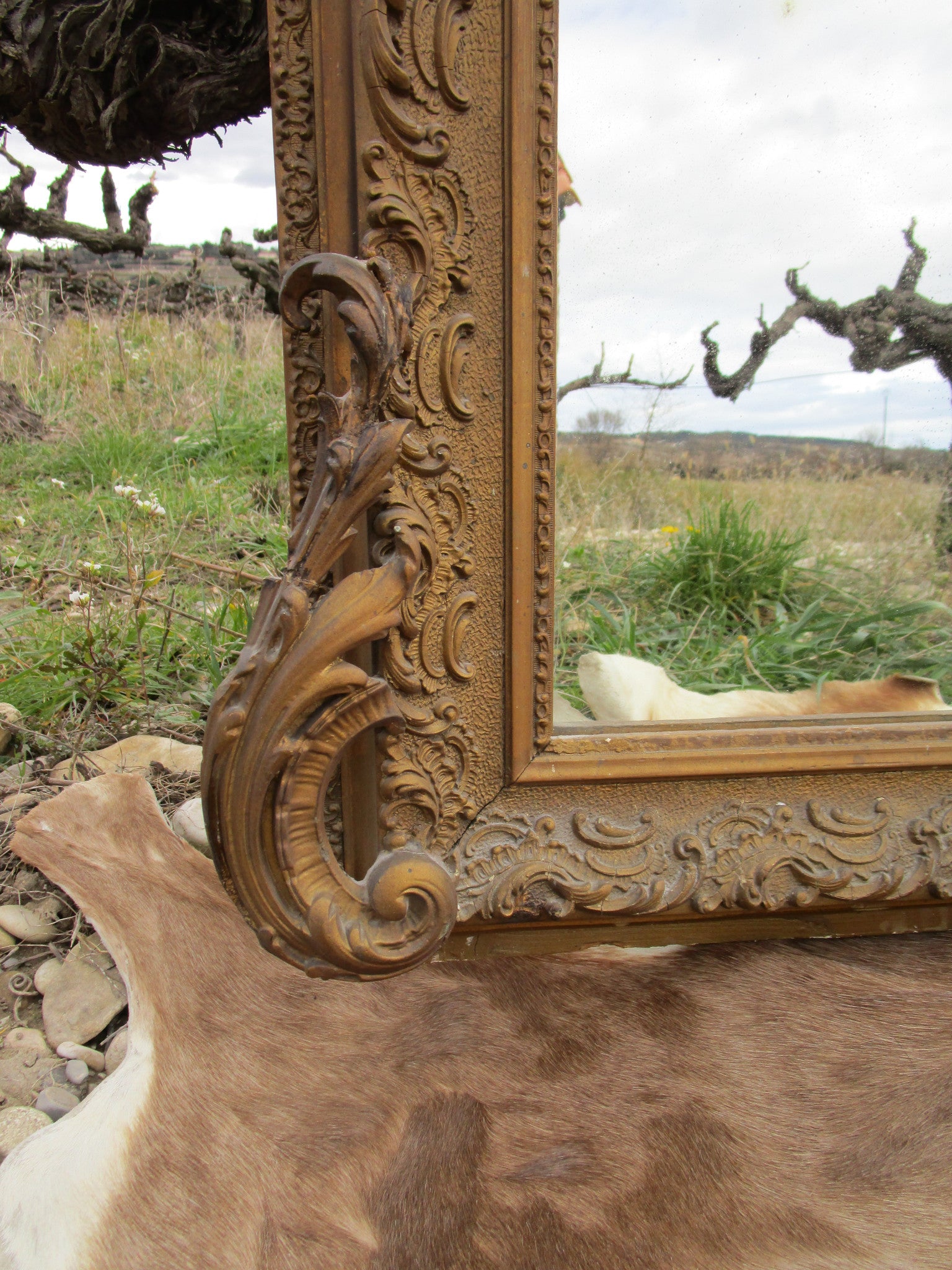 Louis XV style gilt mirror