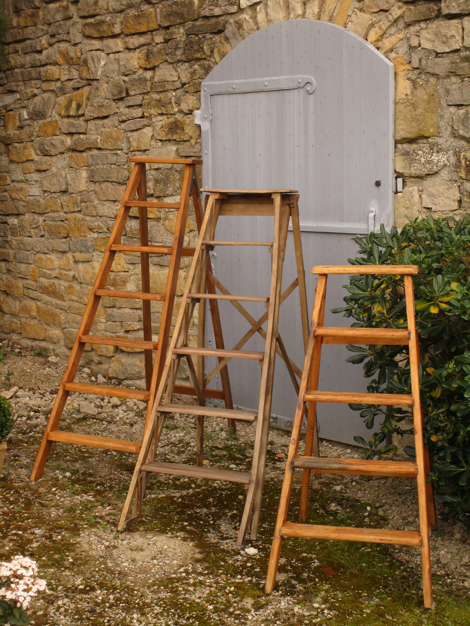 Vintage library ladder – five steps