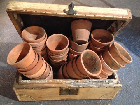 Early 19th century French filing chest with a collection of garden pots