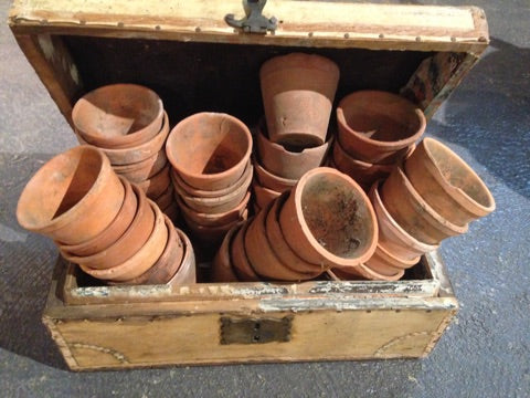 Early 19th century French filing chest with a collection of garden pots