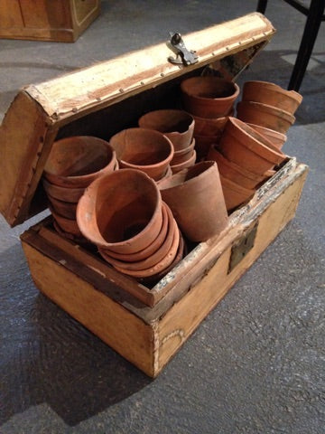 Early 19th century French filing chest with a collection of garden pots