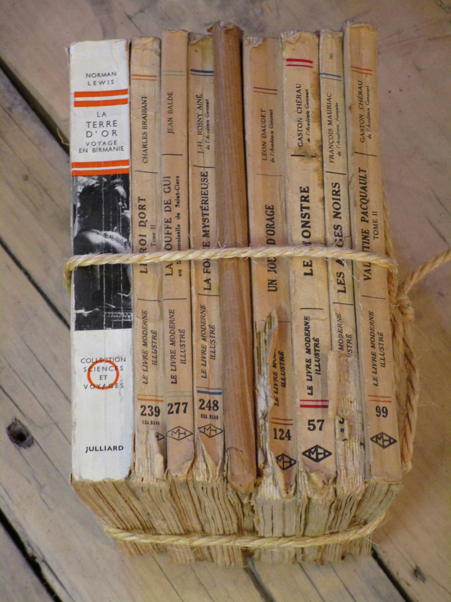 Charming Provenance French Bundle Books