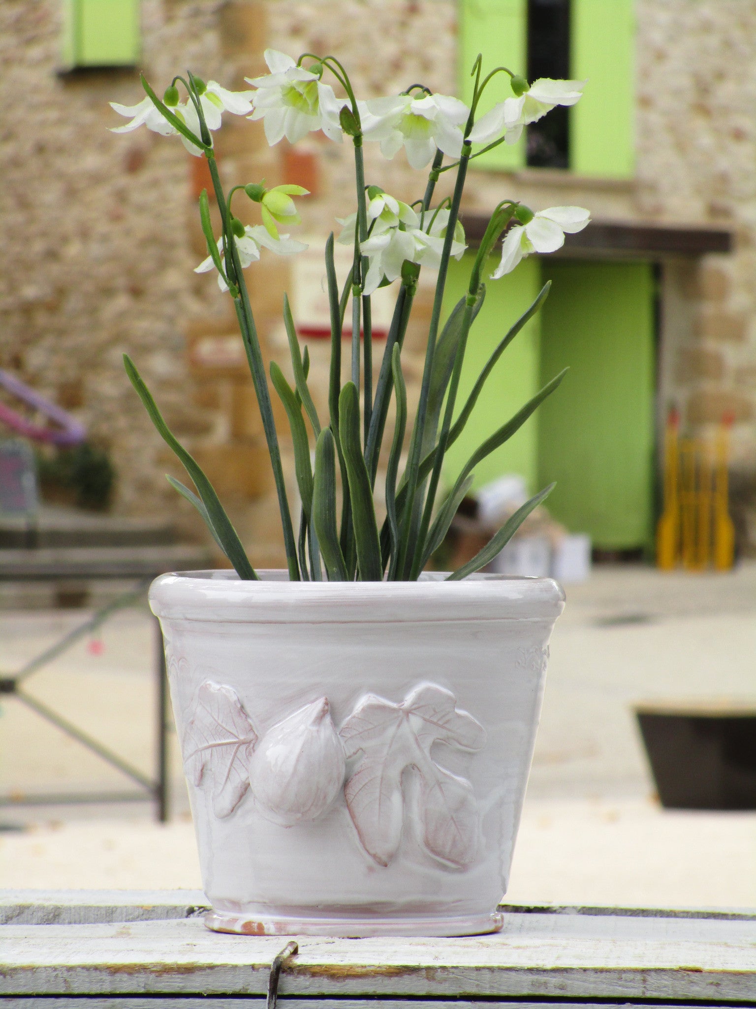 bespoke french artisan fig pot