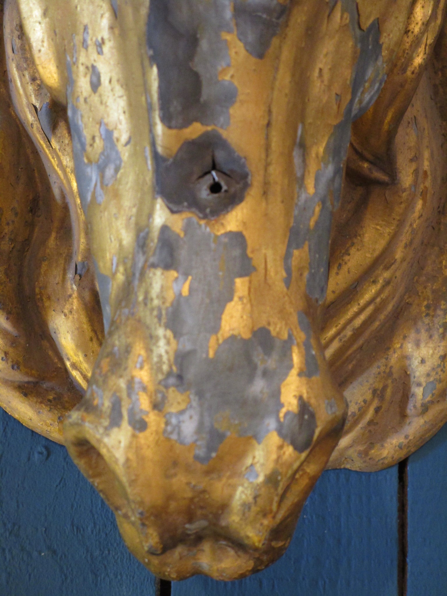 nose detail gold zinc french horse head butcher mount