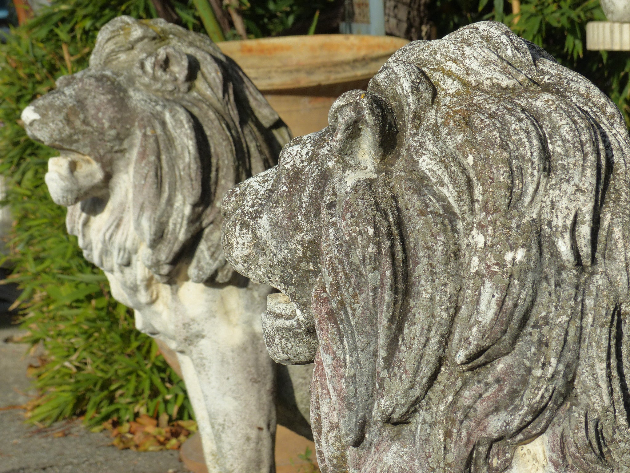 Pair of large vintage garden lions