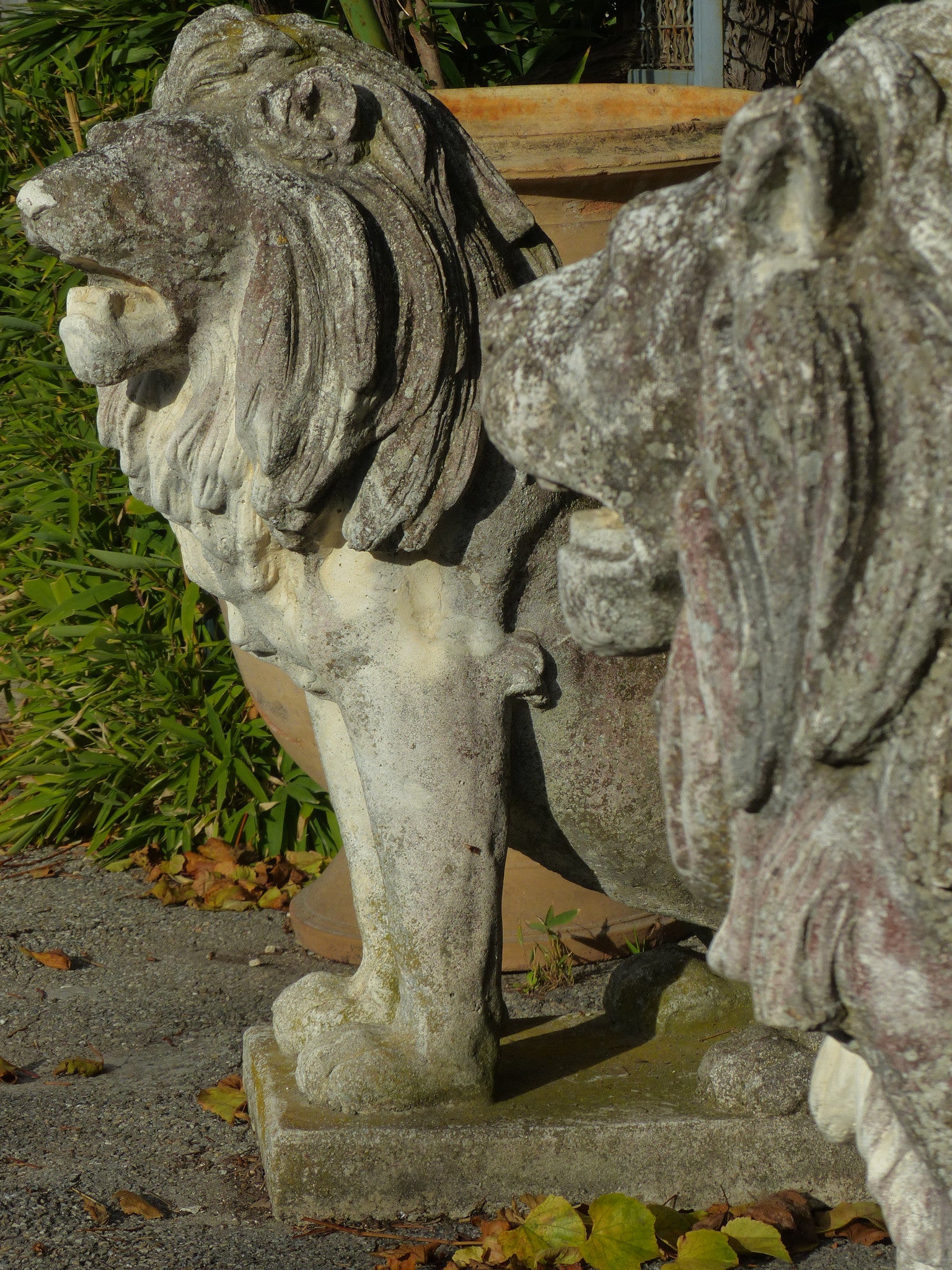 Pair of large vintage garden lions